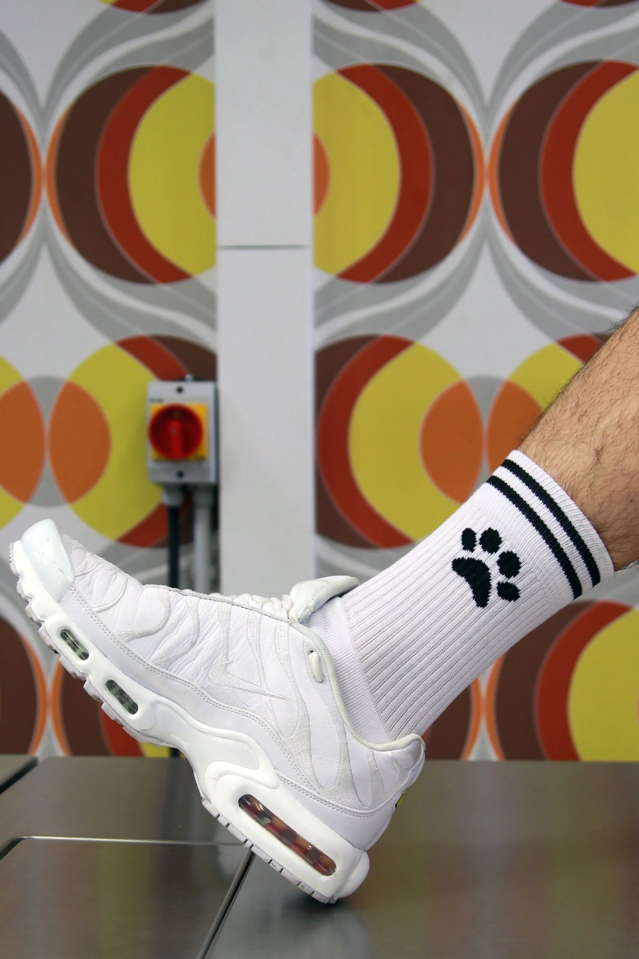 Sk8erboy® Puppy Socks. - Image 15