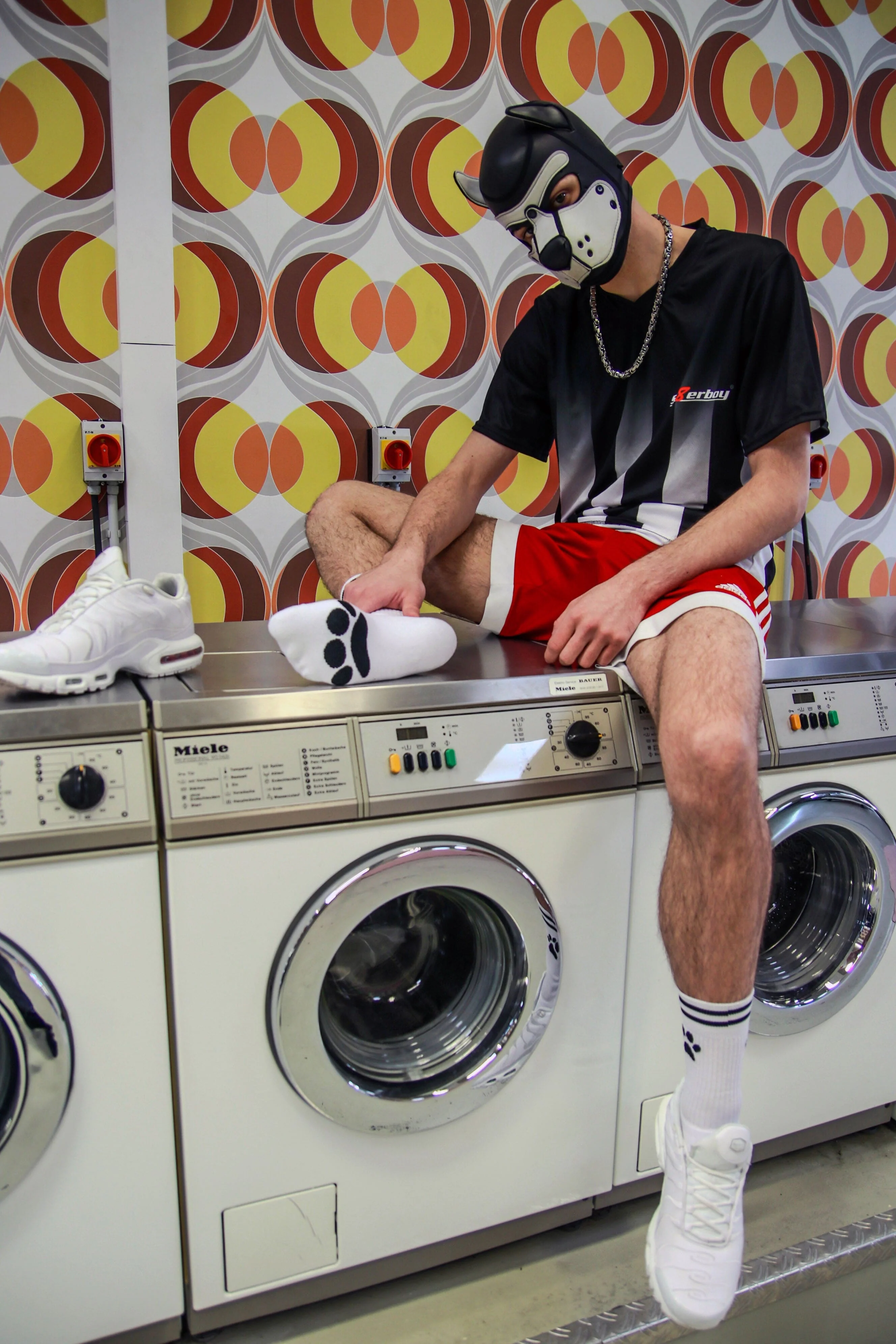 Sk8erboy® Puppy Socks. - Image 16