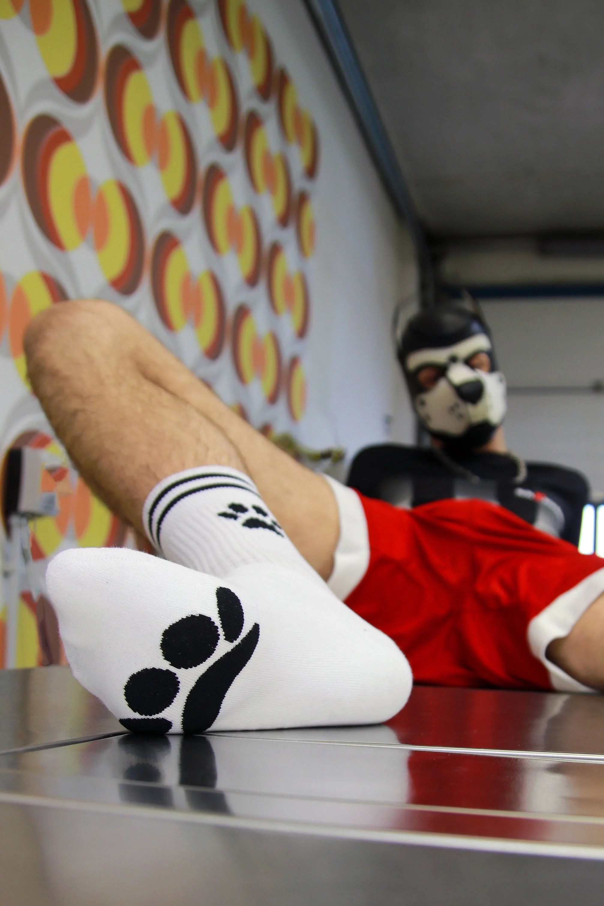 Sk8erboy® Puppy Socks. - Image 17