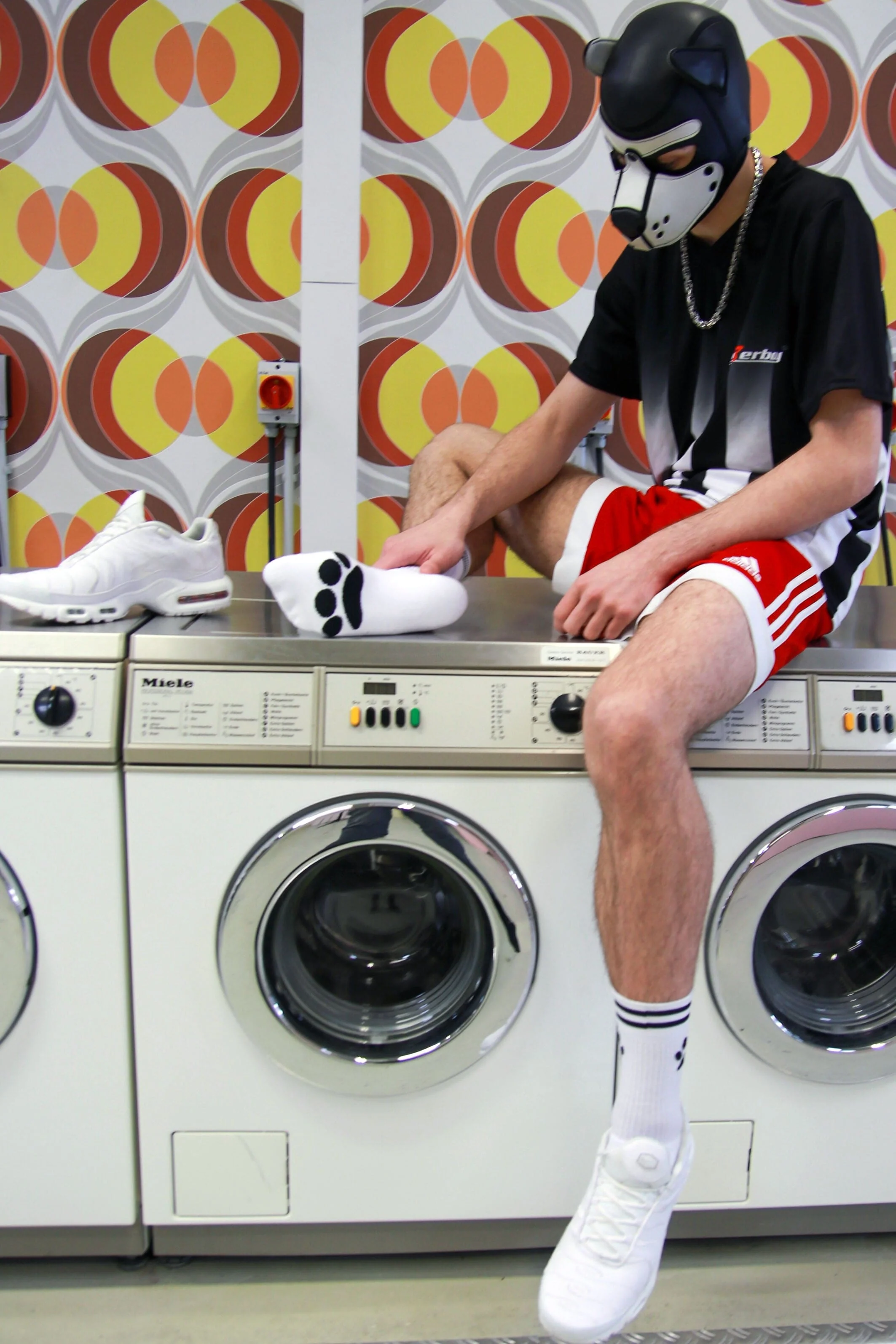 Sk8erboy® Puppy Socks. - Image 19