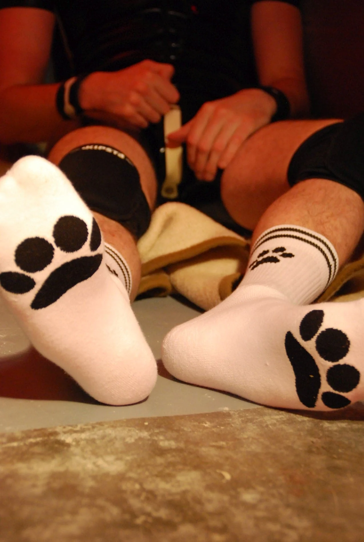 Sk8erboy® Puppy Socks. - Image 25