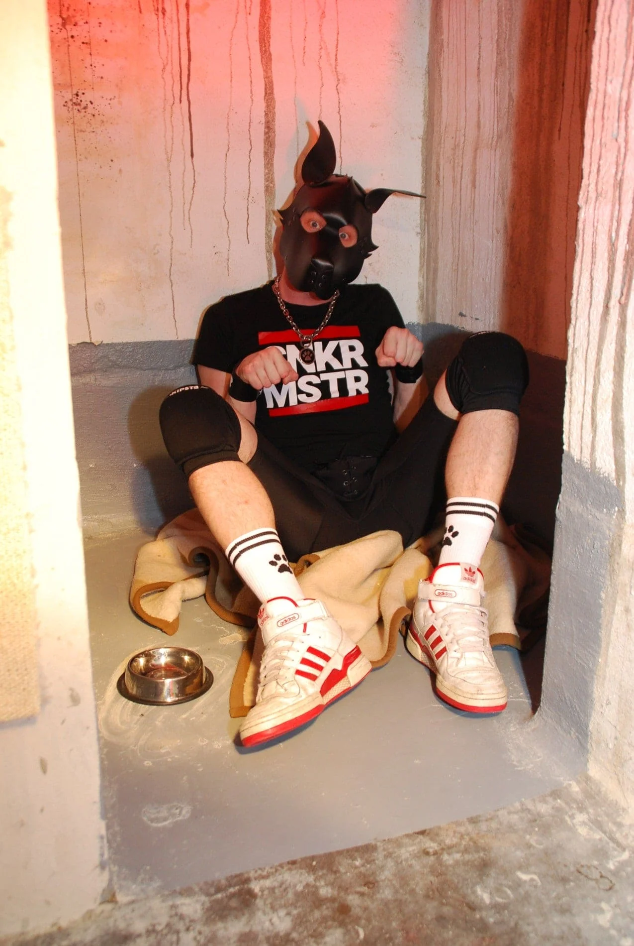 Sk8erboy® Puppy Socks. - Image 27