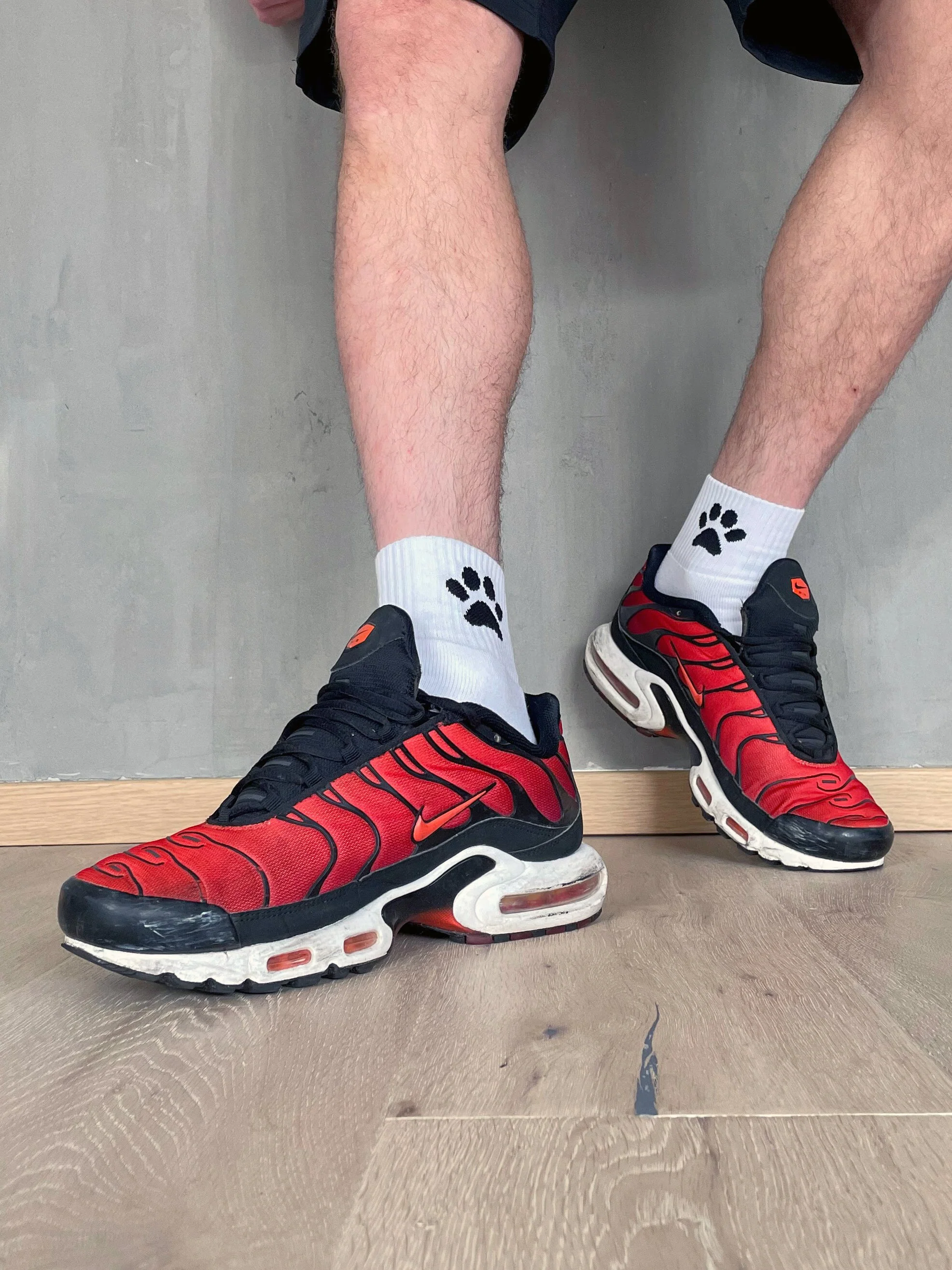 Sk8erboy® Puppy Socks. - Image 51