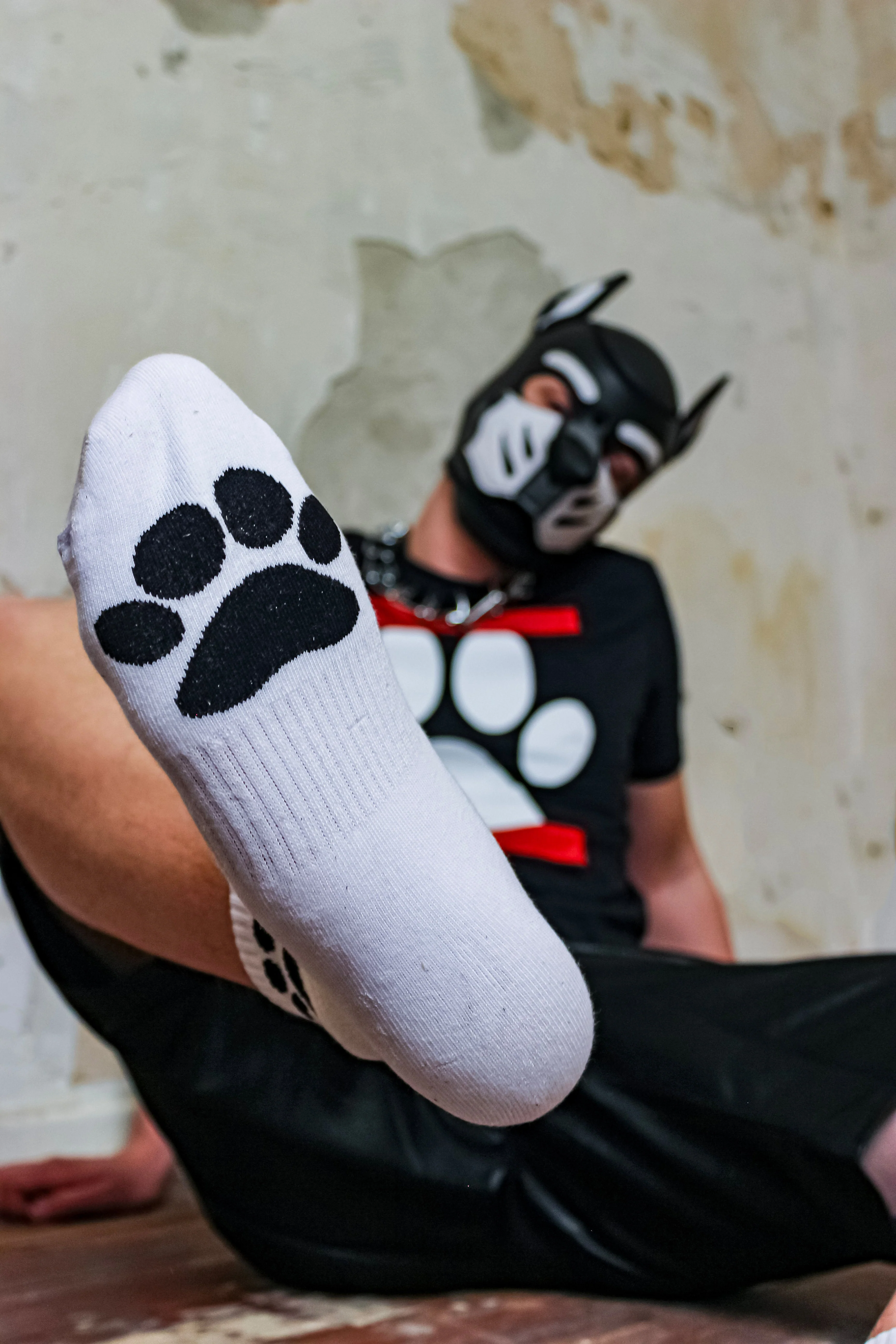 Sk8erboy® Puppy Socks. - Image 55