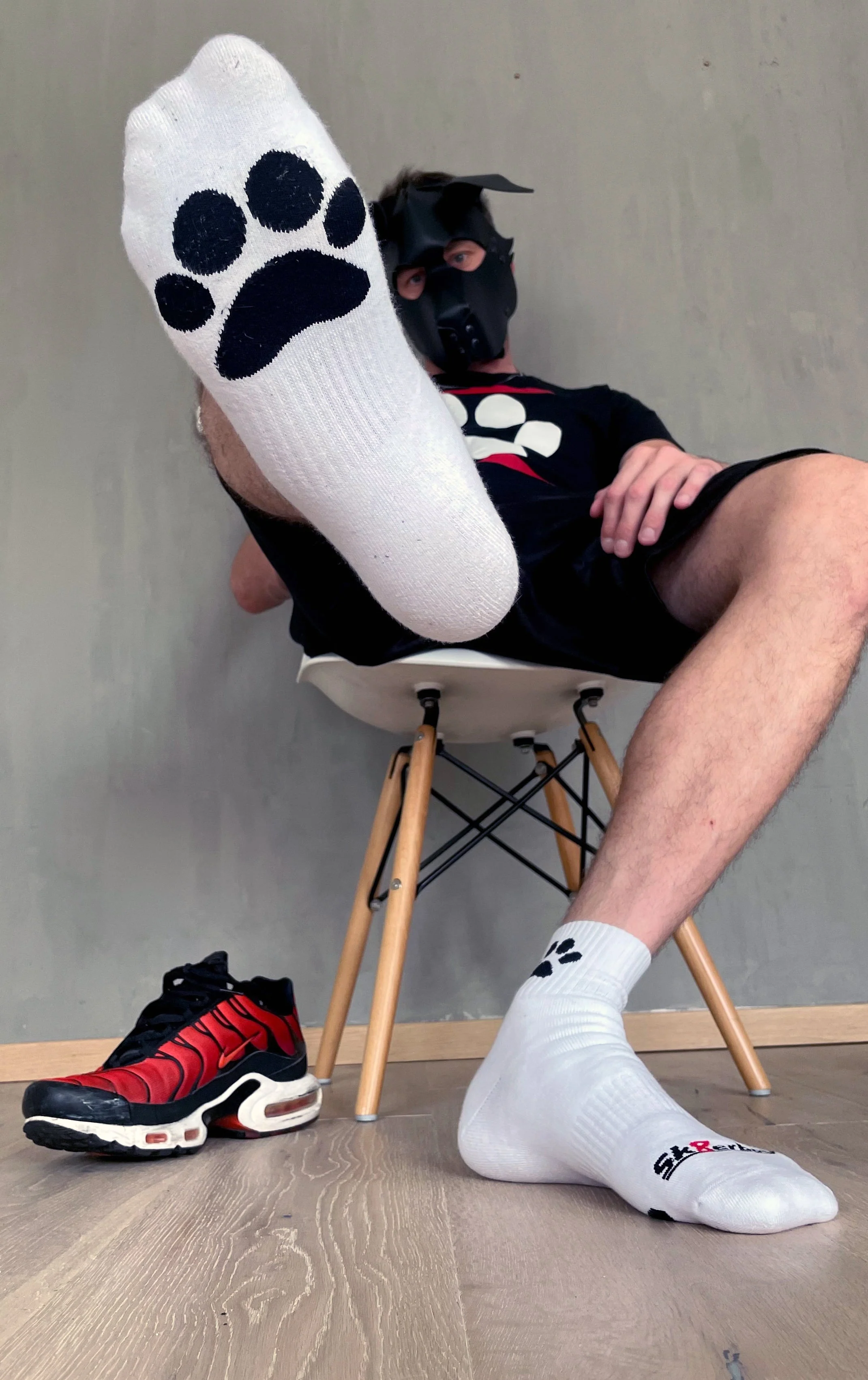 Sk8erboy® Puppy Socks. - Image 64