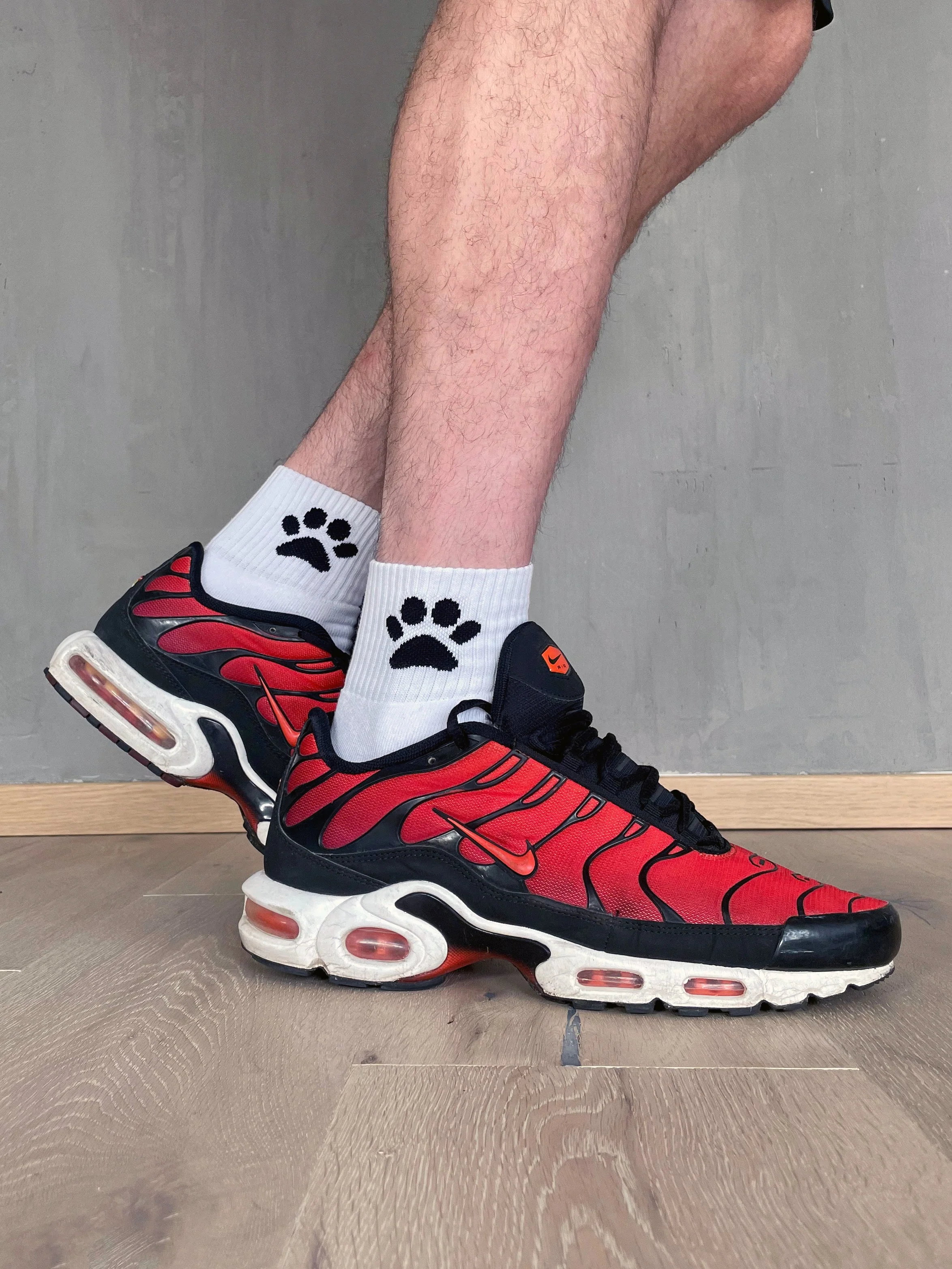 Sk8erboy® Puppy Socks. - Image 66