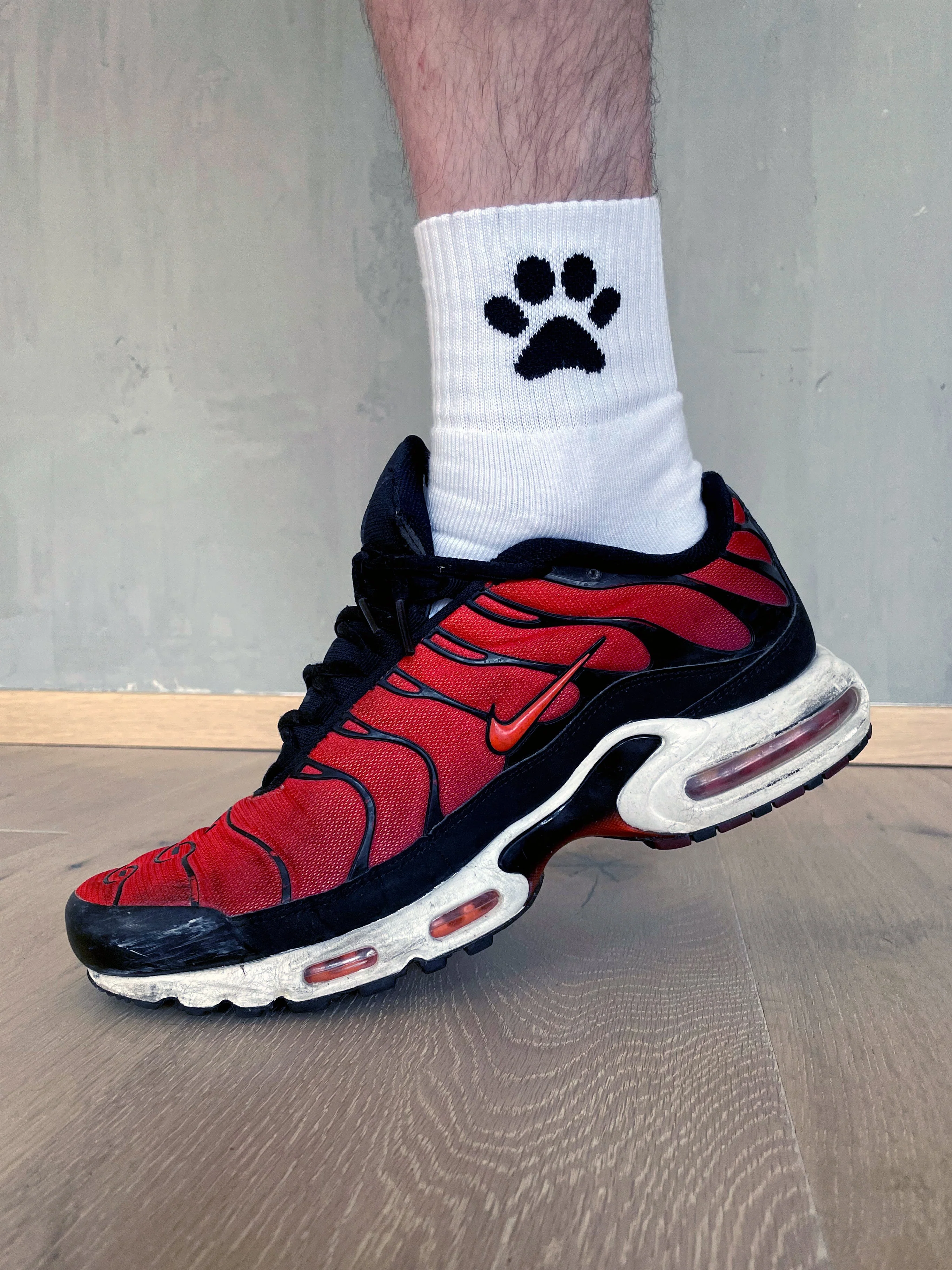 Sk8erboy® Puppy Socks. - Image 67