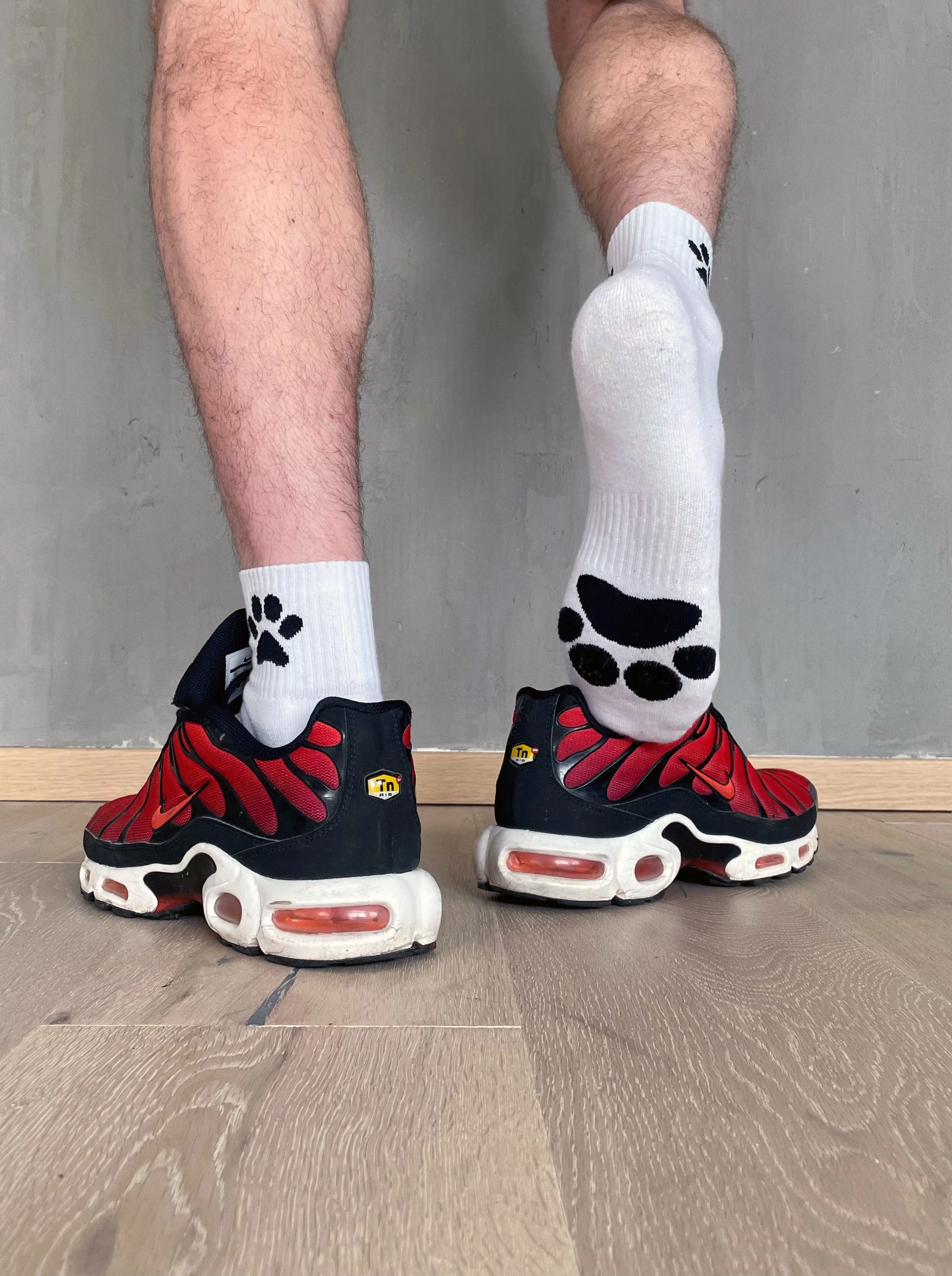 Sk8erboy® Puppy Socks. - Image 71